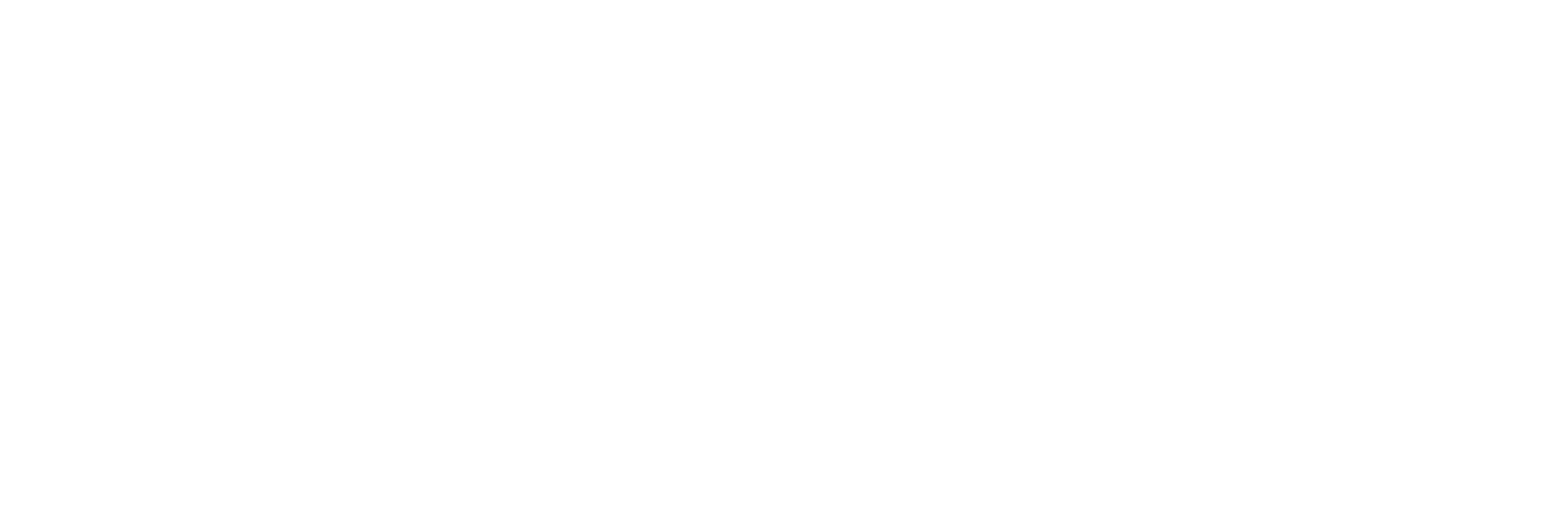 Erick Torritezi Evolution Therapy
